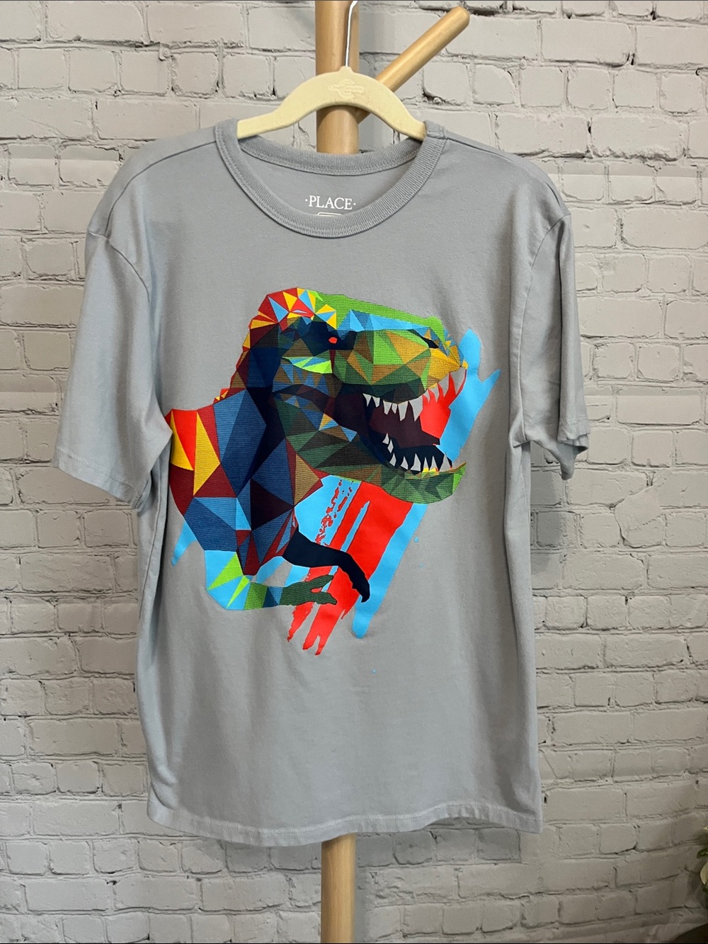 ⭐️⭐️ PICK 5 / $20 PLACE Boys Gray Tee with Multicolor Geometric T-Rex